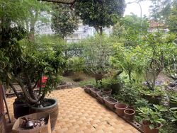 Henry Park (D10), Detached #498599091